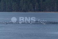 20260323ppel3661_20260323 (2).jpg