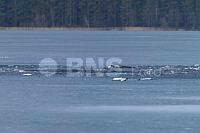 20260323ppel3665_20260323 (2).jpg