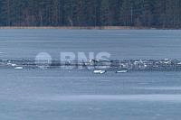 20260323ppel3611_20260323 (2).jpg