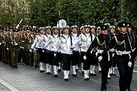 20260614ppel8641_1406.jpg