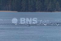 20260323ppel3640_20260323 (2).jpg