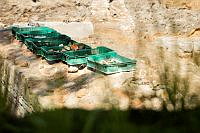 20260728P_A_2328.jpg