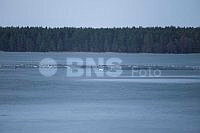 20260323ppel3695_20260323 (2).jpg