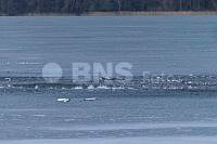 20260323ppel3592_20260323 (2).jpg