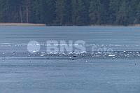 20260323ppel3652_20260323 (2).jpg