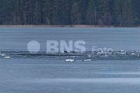 20260323ppel3632_20260323 (2).jpg