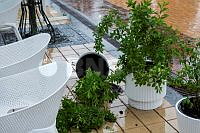 202607080V5A8667.jpg