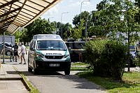 20260626ppel9099_2606.jpg