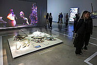 20261008ppel7255.jpg