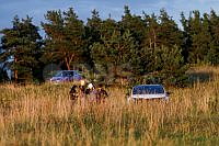 3u1a2653.jpg