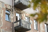 20261024P_A_1070.jpg
