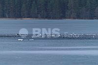 20260323ppel3614_20260323 (2).jpg